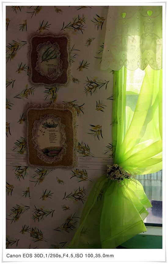 [마니아] 간단한 조명을 이용한 정물 촬영