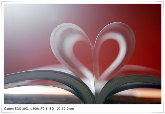 [마니아] 간단한 조명을 이용한 정물 촬영