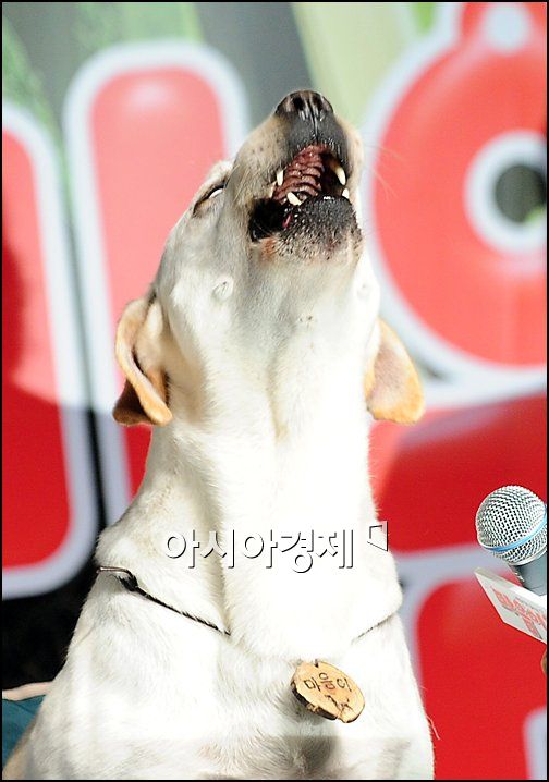 [포토]성동일 '달이, 하고 싶은 말 해봐'