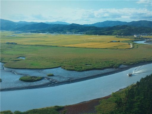 [마니아]자연의 보고 순천만 기행 '짱뚱어를 아시나요?'