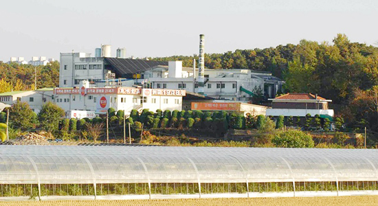 향토기업들 ‘헛소문’에 휘청 