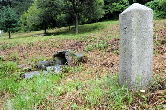 백제여! 구비구비 '망국의 한' 저리도 붉을까