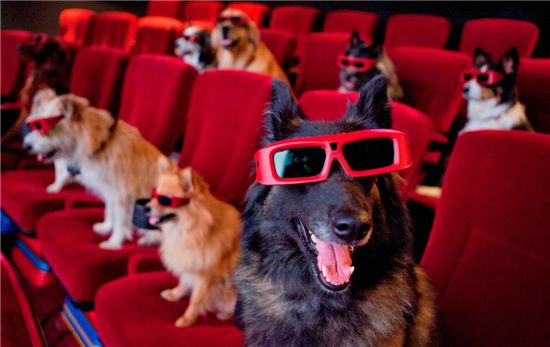 '캣츠 앤 독스 2' 추석 극장가 3D 전쟁 나선다