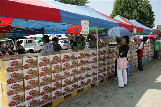 2008년 가을에 열린 제4회 천등산고구마축제 때 현장판매 모습.