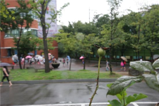 '오장풍' 교사가 남긴 상처, 다시 가본 그 학교