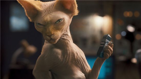 '캣츠앤독스2', 털없는 희귀종 고양이 스핑크스 출연 '화제' 