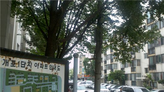연일 계속되는 폭염과 열대야 속에 서울시 강남구 개포동 개포주공1단지 아파트는 최근 동 단위 정전이 2회 발생했다.