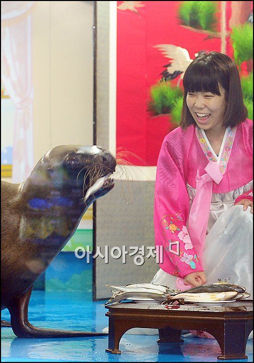 [포토]'물개에게 생선 맡겨놓은 꼴'이란?