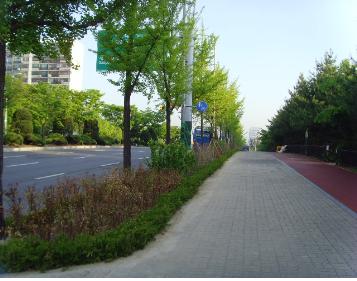강남구 거리 G20정상회의 앞두고 초록 녹지로 물들다 