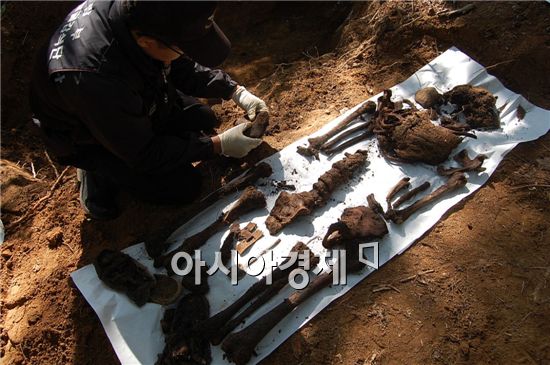 유해발굴 작업이 시작된 2000년부터 현재까지 발굴된 전사자 유해는 총 5219구이며 이중 국군전사자는 4384구다. 