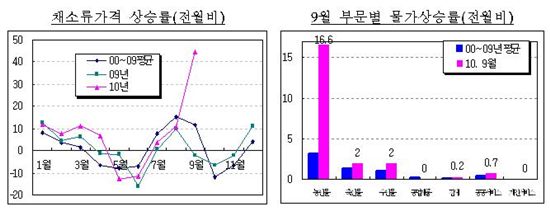 배추發 물가폭탄… 전월비 물가상승률 90개월 '최고'(상보)