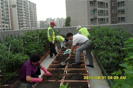 마포구 신수동 행복마을 주식회사 옥상 텃밭 가꾸기