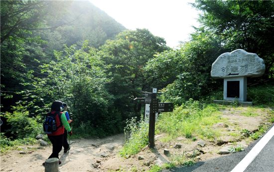 [여행]단풍들기 전 마지막 초록 찾아 떠나는 사색길