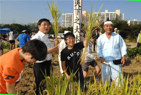 김성환 노원구청장이 어린이들과 함께 벼베기 행사에 참여하고 있다.