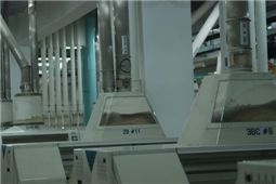 “국내 가공 밀가루, 선진국도 '안심 먹거리' 인정”