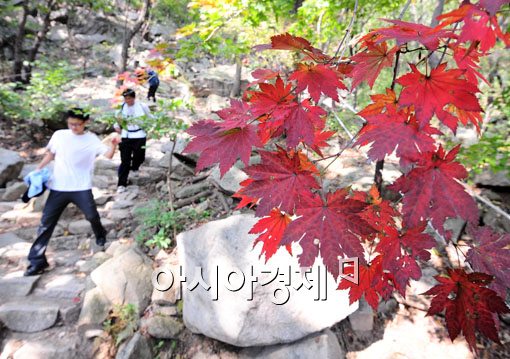 [포토] 단풍옷 갈아 입은 북한산