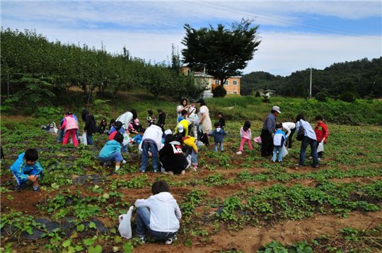 올 가을, 볼거리와 맛거리가 풍부한 안성 '꽃뫼마을'로 오세요!
