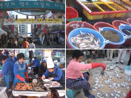 14일부터 17일까지 열리는 부산자갈치축제. 부산국제영화제를 찾은 관광객들이 싱싱한 해삼물을 맛볼 수 있도록 축제 기간이 맞물려 진행되고 있다.