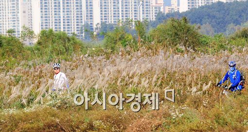 [포토] 깊어가는 가을을 만끽하며