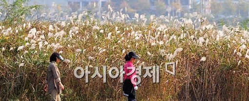 [포토] 가을을 즐기는 시민들