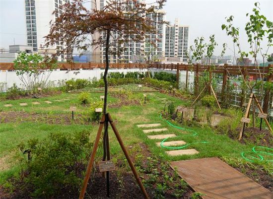 옥상을 푸른 공원으로 만든다 