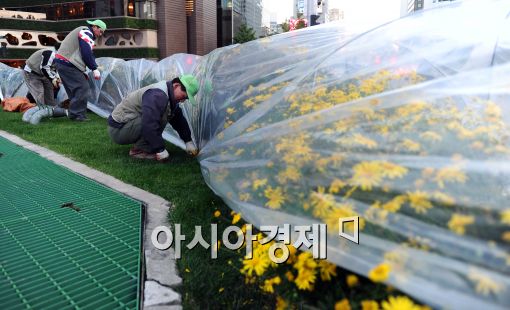 [포토]비닐옷 입는 서울광장 꽃들