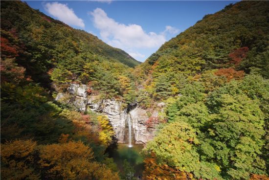 폭포+억새꽃 향연, 신불산폭포자연휴양림