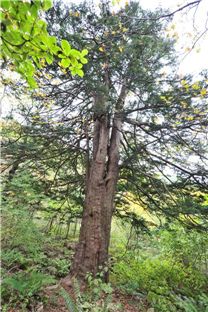 책으로 만나는 백두대간 ‘녹색 수호신들’