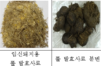 "사료를 바꿨을 뿐인데"..경제적 효과 1380억