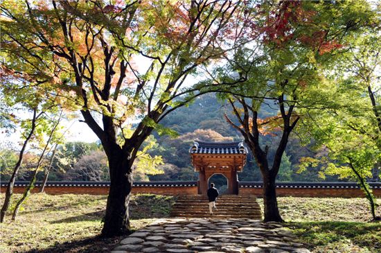 붉었던 그 마음 내려놓고 가을 어디로 가시나