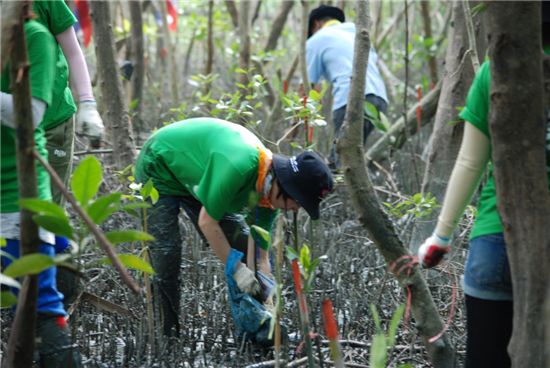 삼성생명, 태국에 쓰나미 방재용 나무 심어