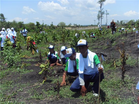 지난 10일 인도네시아 롬복섬에서 열린 탄소배출권 조림사업 현장에서 나무를 심는 현지주민들.