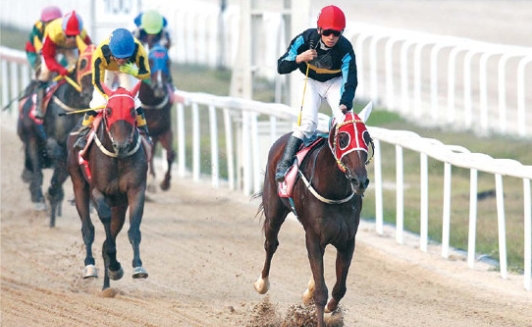 [주말레이싱] 괴력의 '당대불패' 등 최고 국산마 경쟁