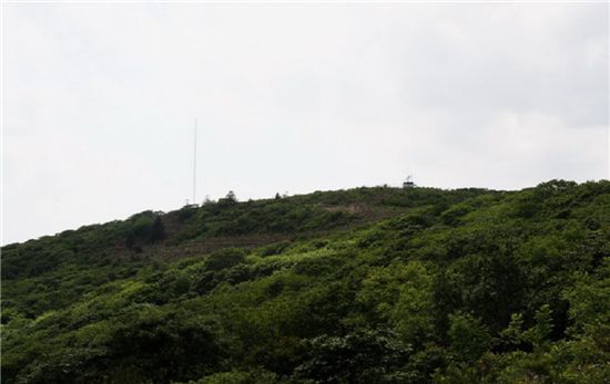푸른 숲으로 변신한 구룡덕봉 모습.