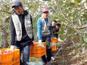 기보, 합천 가야면에서 '농촌봉사활동' 펼쳐