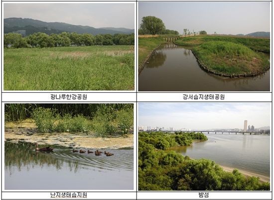 서울시, 한강 겨울철새 탐조코스 4선 선정