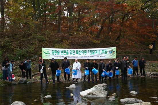 2008년에 있은 광릉숲 보존을 위한 우리나라 특산어종 '참갈겨니' 복원행사 모습.