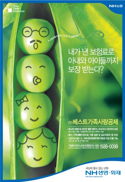 NH생명·화재