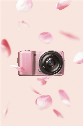 크리스마스 시즌, 미러리스 카메라 '전쟁'