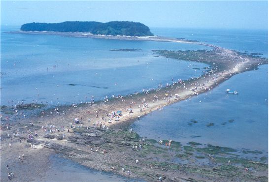 바닷길이 드러난 서해안 무창포해수욕장 전경.