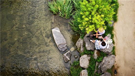 [포토]두 어르신의 '청계천 데이트' 금상 수상