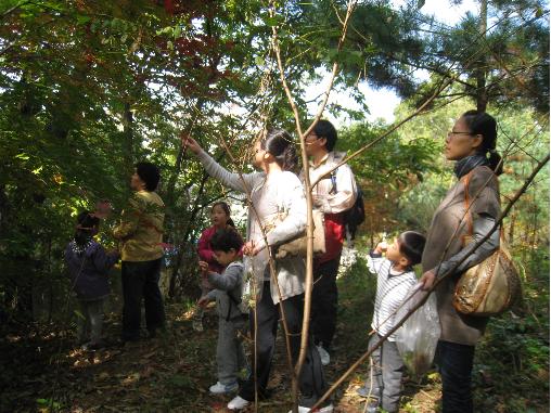 맞벌이부부도 할 수 있다! 사교육 없이 우리아이 키우기 