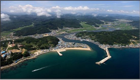 강구항