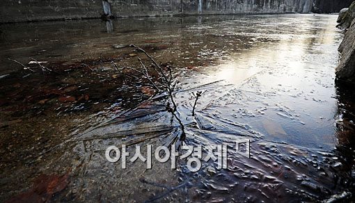 [포토] 본격적으로 시작된 겨울 추위