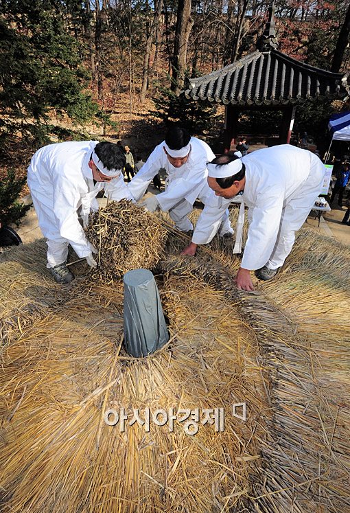 [포토] '창덕궁 청의정 ‘초가지붕’ 새 짚으로 바꿔요~'