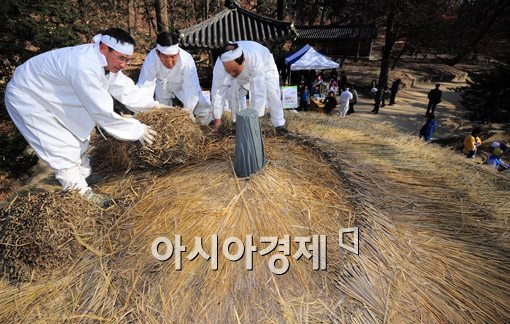 [포토] 창덕궁 청의정 '초가지붕' 교체