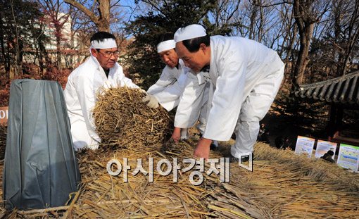 [포토] 창덕궁 청의정 '초가지붕' 새 짚으로
