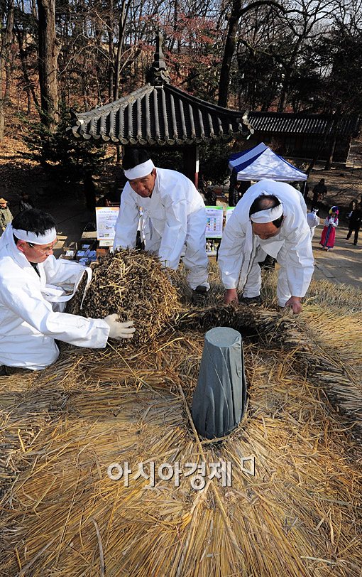[포토] 창덕궁 청의정 '초가지붕' 새 짚으로