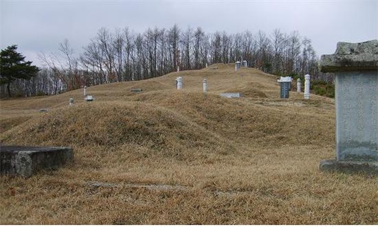 ‘충주 이시진 묘소’ 등 4건 충북도문화재 지정