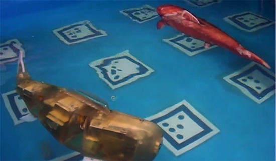 로봇물고기 '피보'가 이달 말 대전 보문산 아쿠아월드에서 일반인들에게 선보인다.